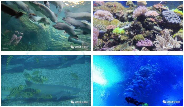 ʱ⡤ͬͬСj9.com輯麣ȼ֮